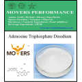 Suplemento Nutricional - Adenosine Triphosphate Disodium (ATP)